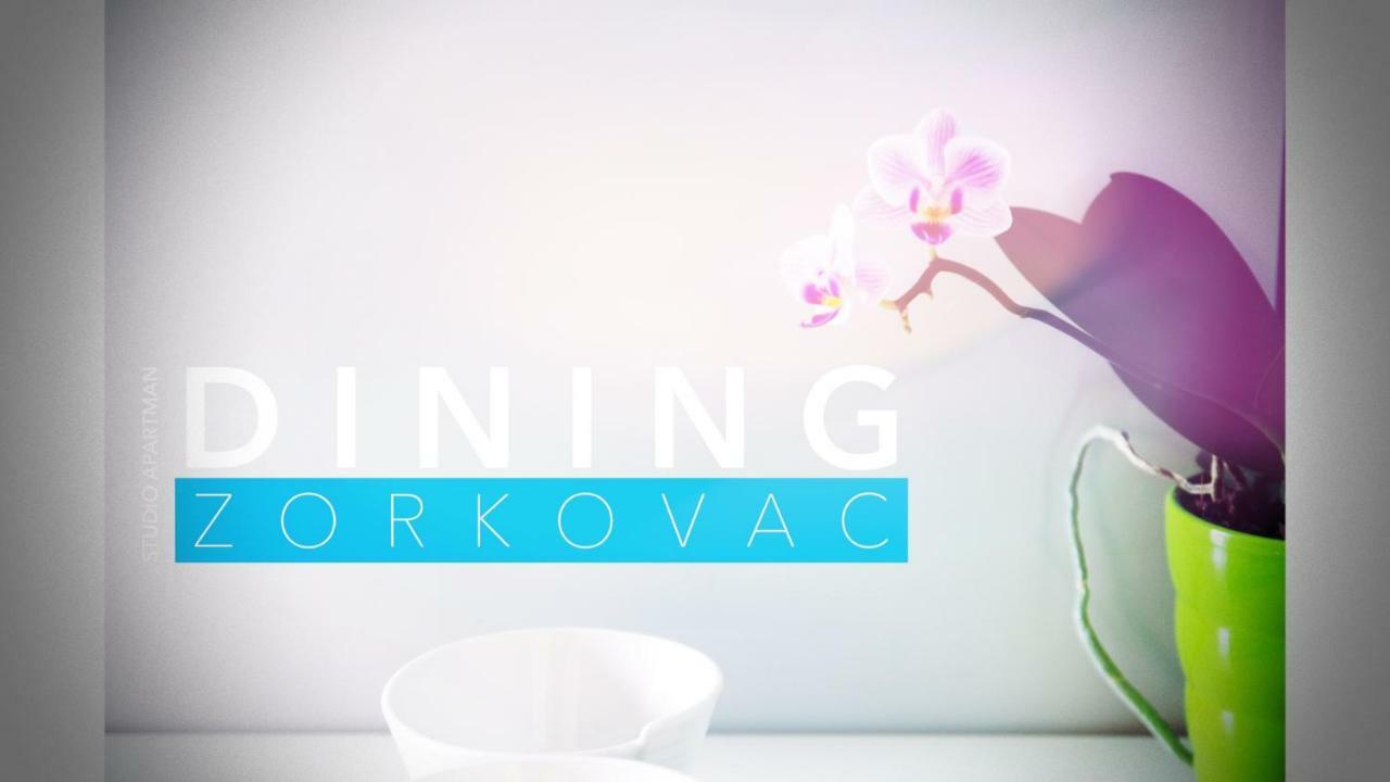 דירות Ozalj Studio Apartman Zorkovac מראה חיצוני תמונה